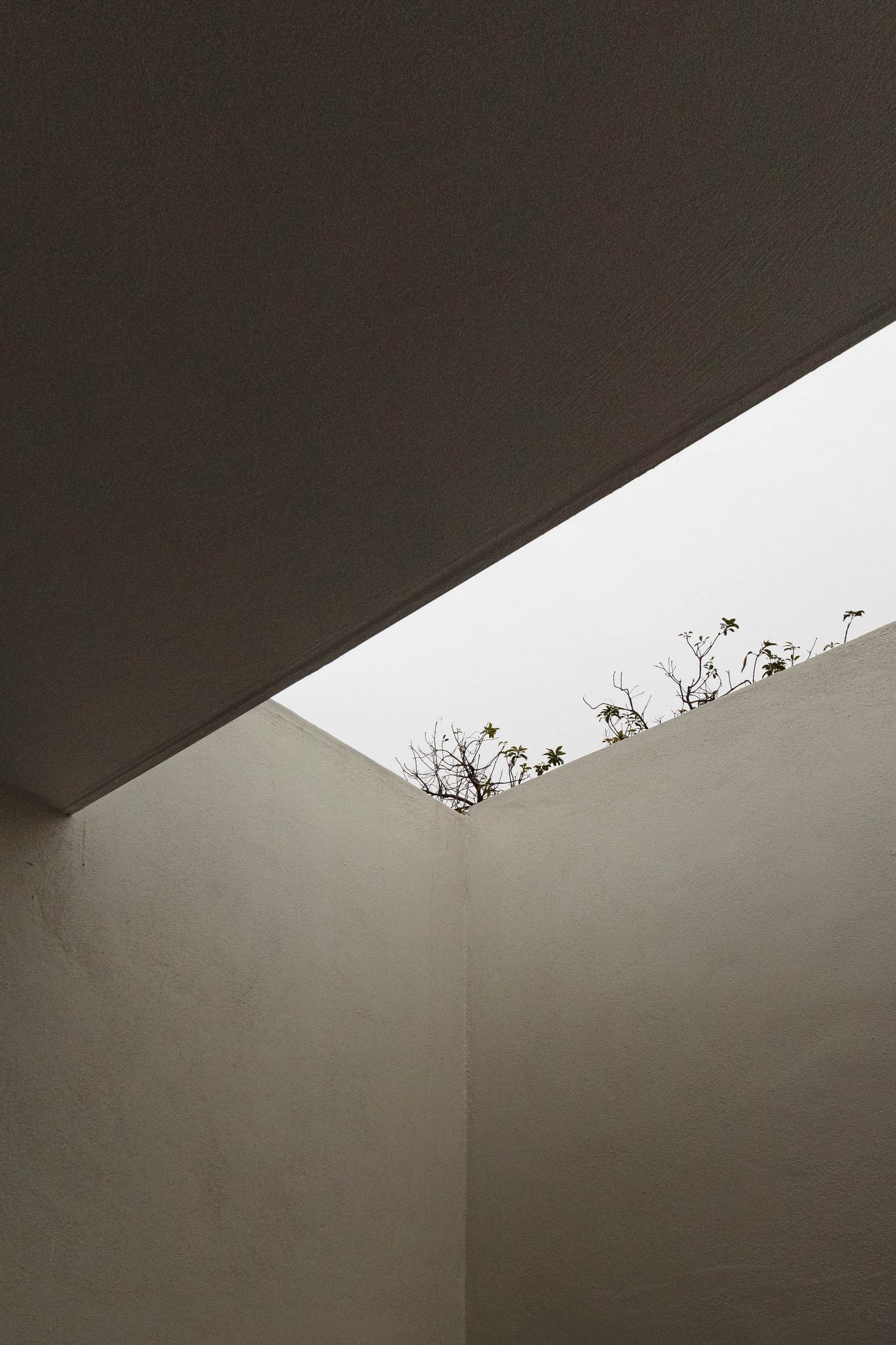 IMAI House